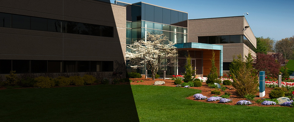 Elizaville Landscapers