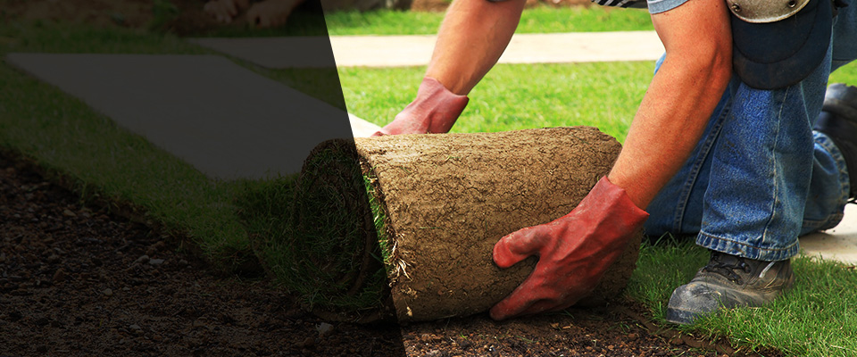 Elizaville Landscapers